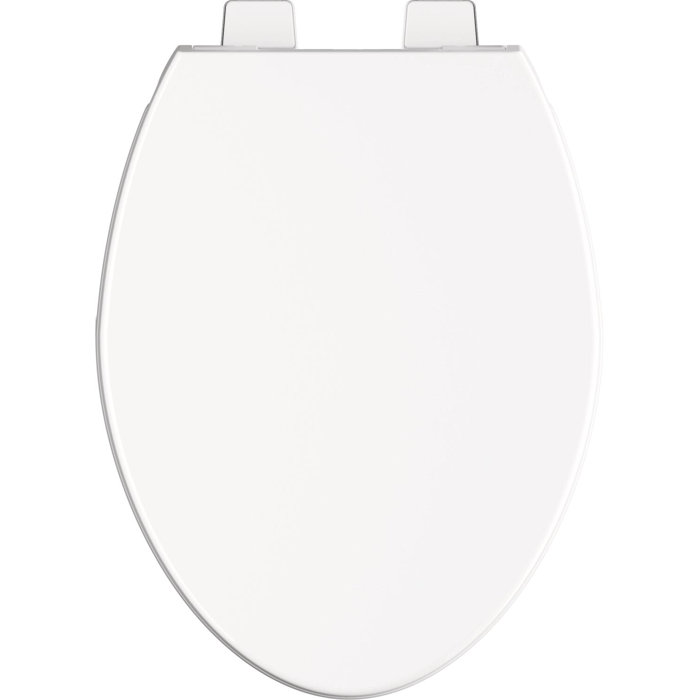 811903 WH Delta Morgan Elongated Toilet Seat Reviews Wayfair